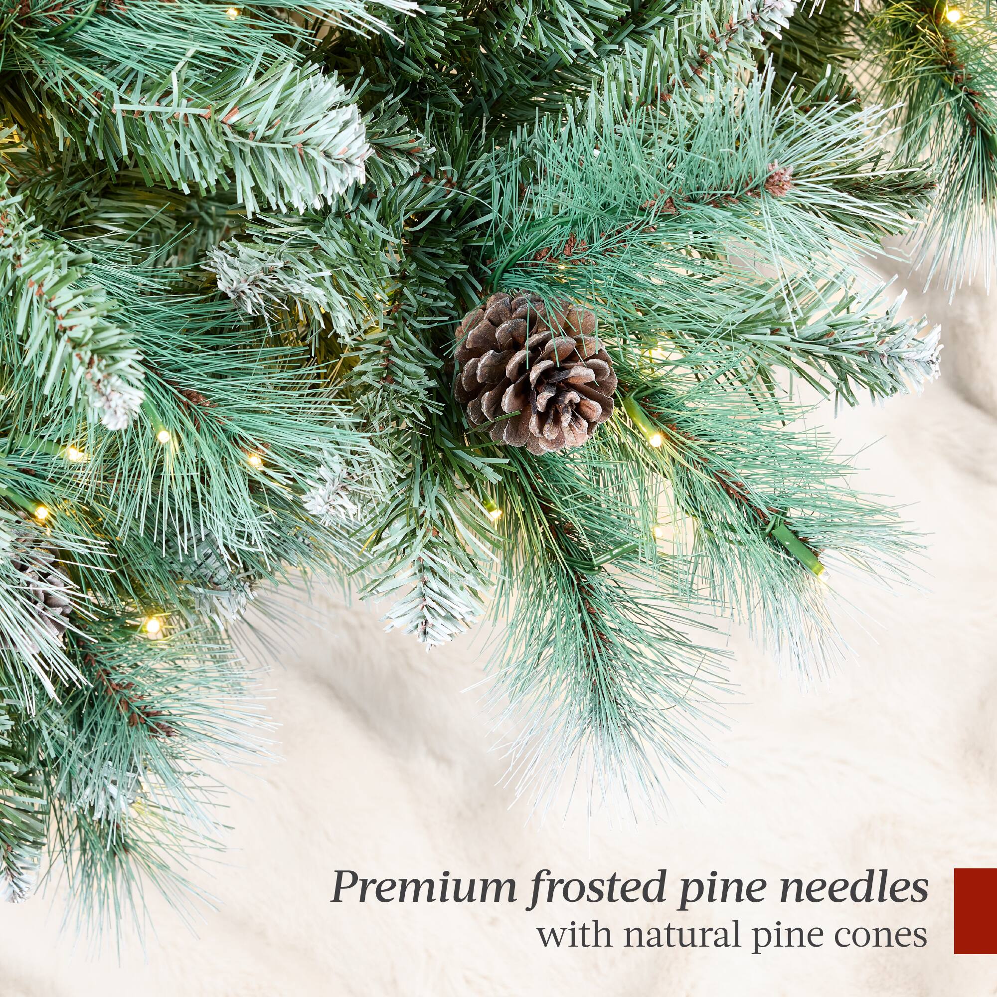 Premium frosted pine needles with natural pine cones