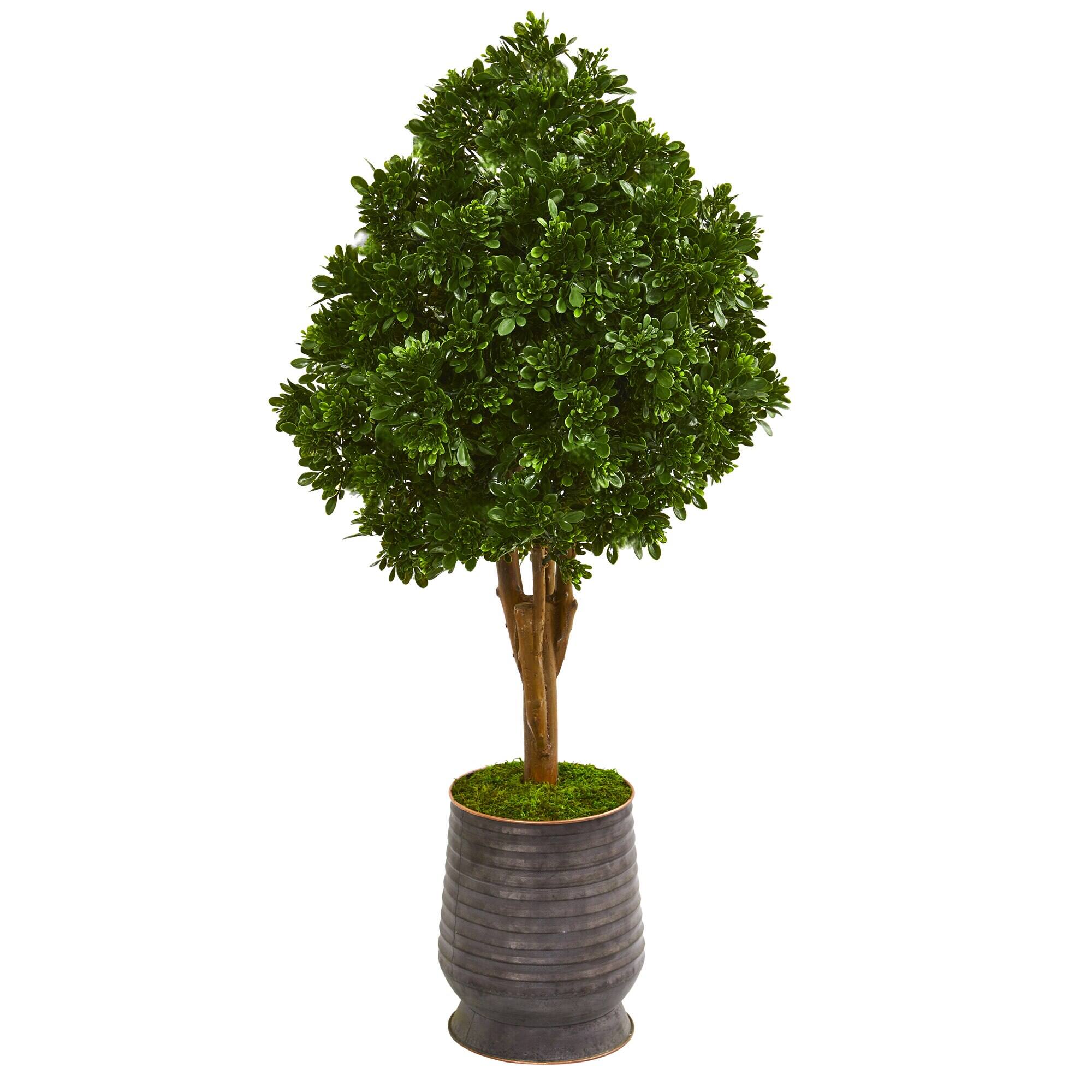 Front. BreeBe - 49" Tea Leaf Tree in Metal Planter UV Resit (Indoor/Outdoor) - Green.