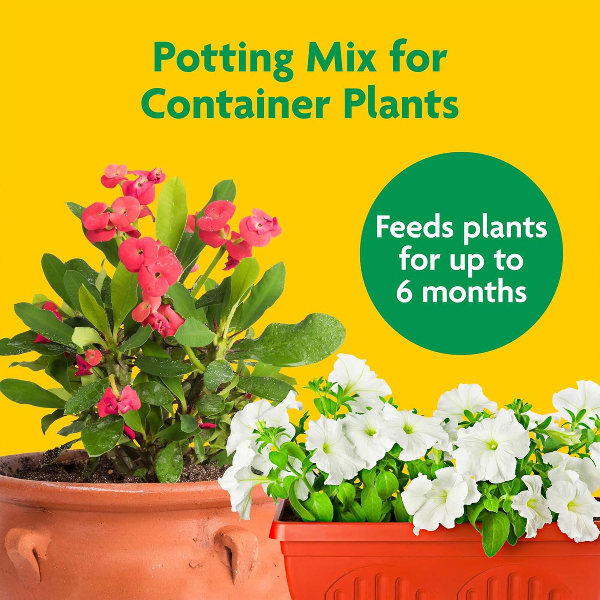 Potting Mix for Container Plants

Feeds plants for up to 6 months