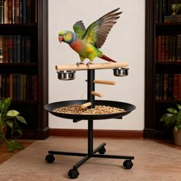 Anysun - Bird Feeder Station with Wheels,Portable Bird Play Stand,Stainless Steel Feeding Bowls, Tray - Black