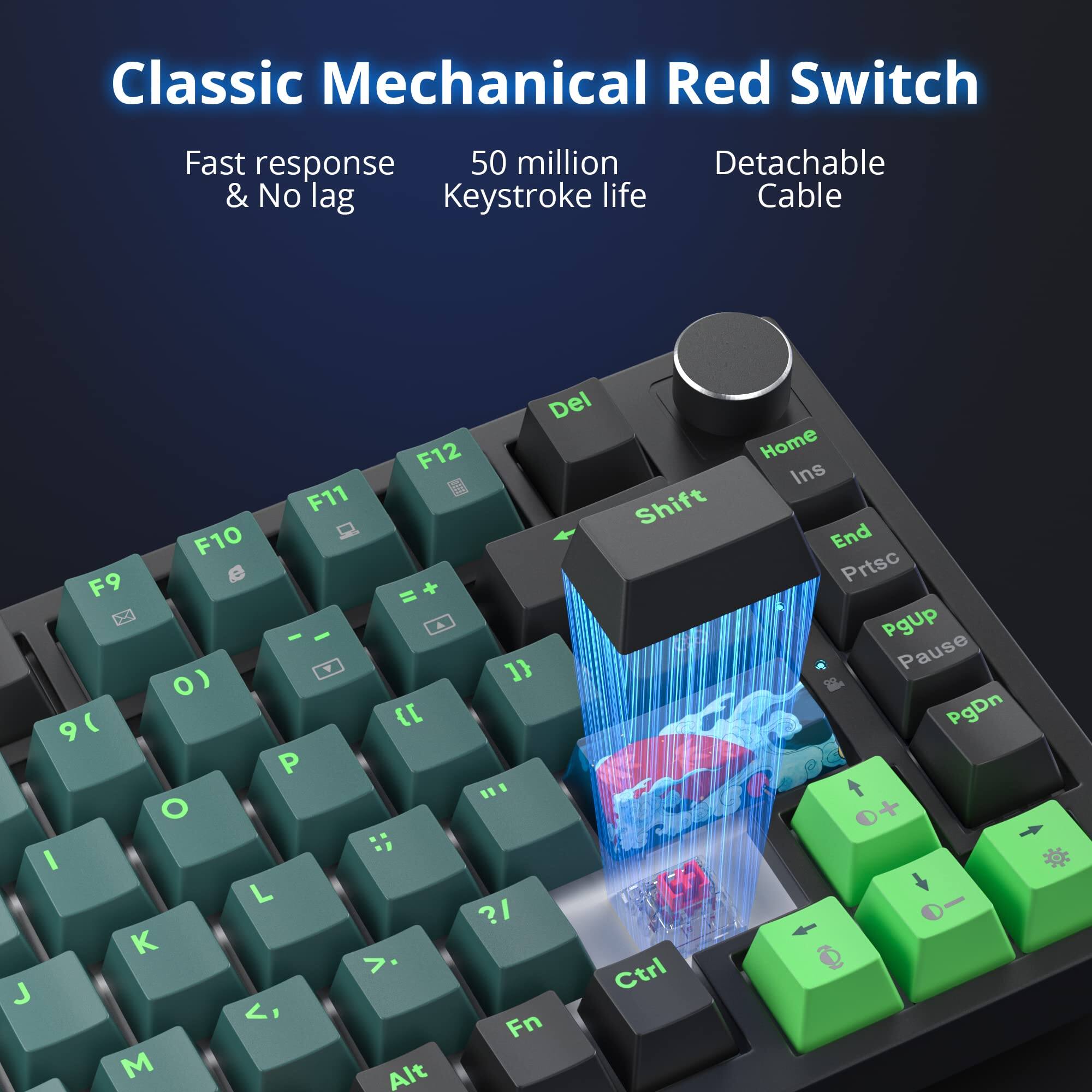 Classic Mechanical Red Switch

- Fast response & No lag
- 50 million Keystroke life
- Detachable Cable

F12 F11 F10 F9 = - 0) 1} ) { 9 P O I L K J M Alt Home Ins End Prtsc Pgup Pause PgDn +