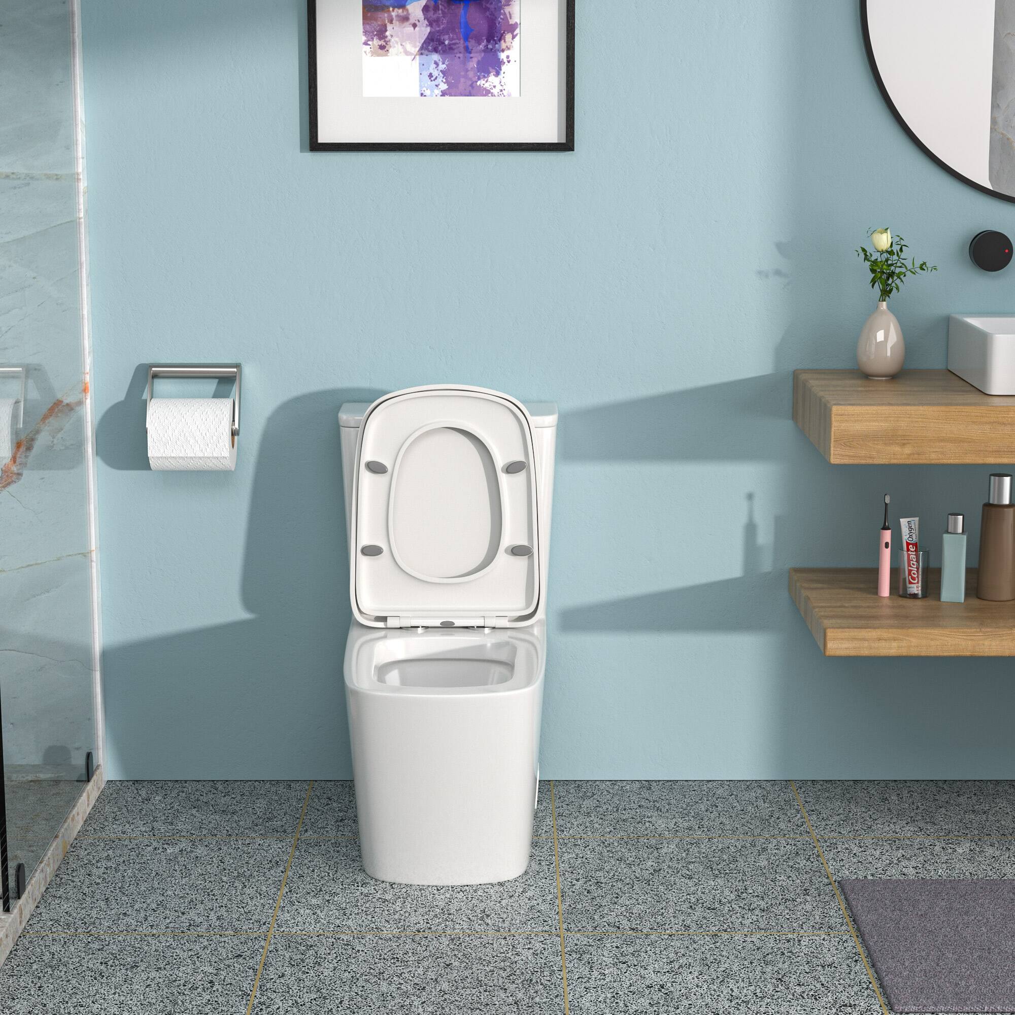TinyHomie - Ceramic One Piece Toilet Dual Flush with Soft Closing Seat - White