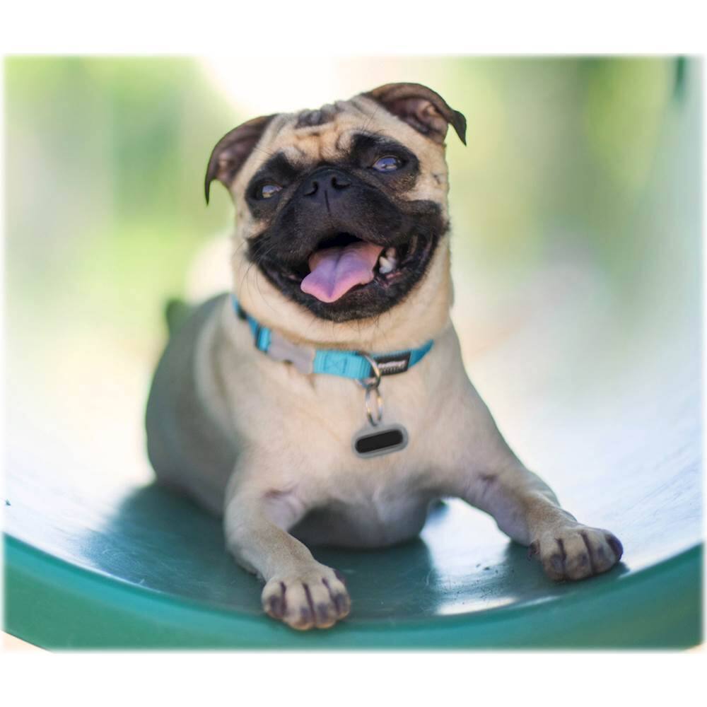 Alt View 11. Bean Pet Activity Tracker - Black.