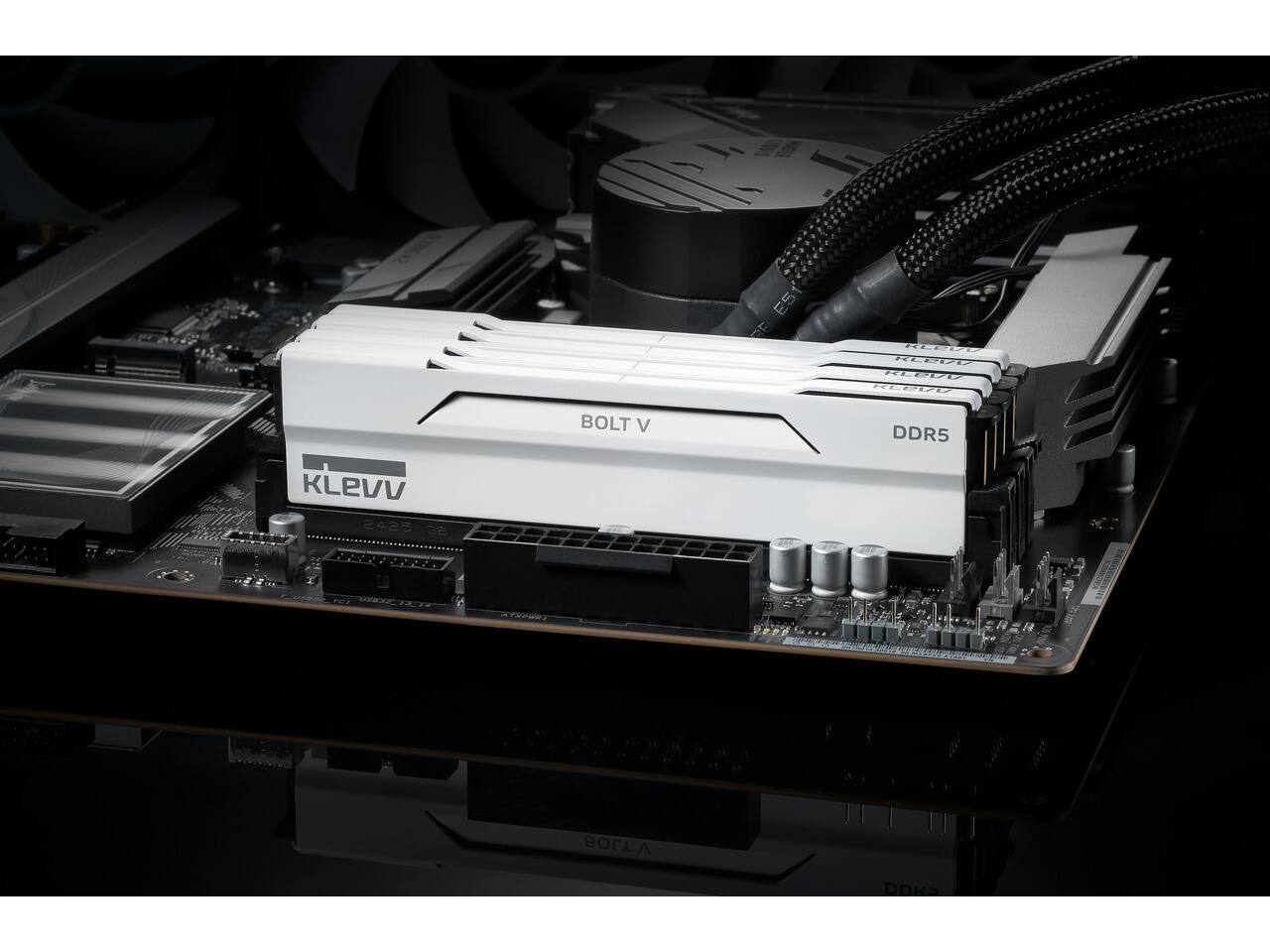 EST KLOVE KLEVO KLEVU KLOVIC  
BOLT V  
DDR5  
KLEVV 2425 32 PENTERS  
EXPER!  
BOLT ^
