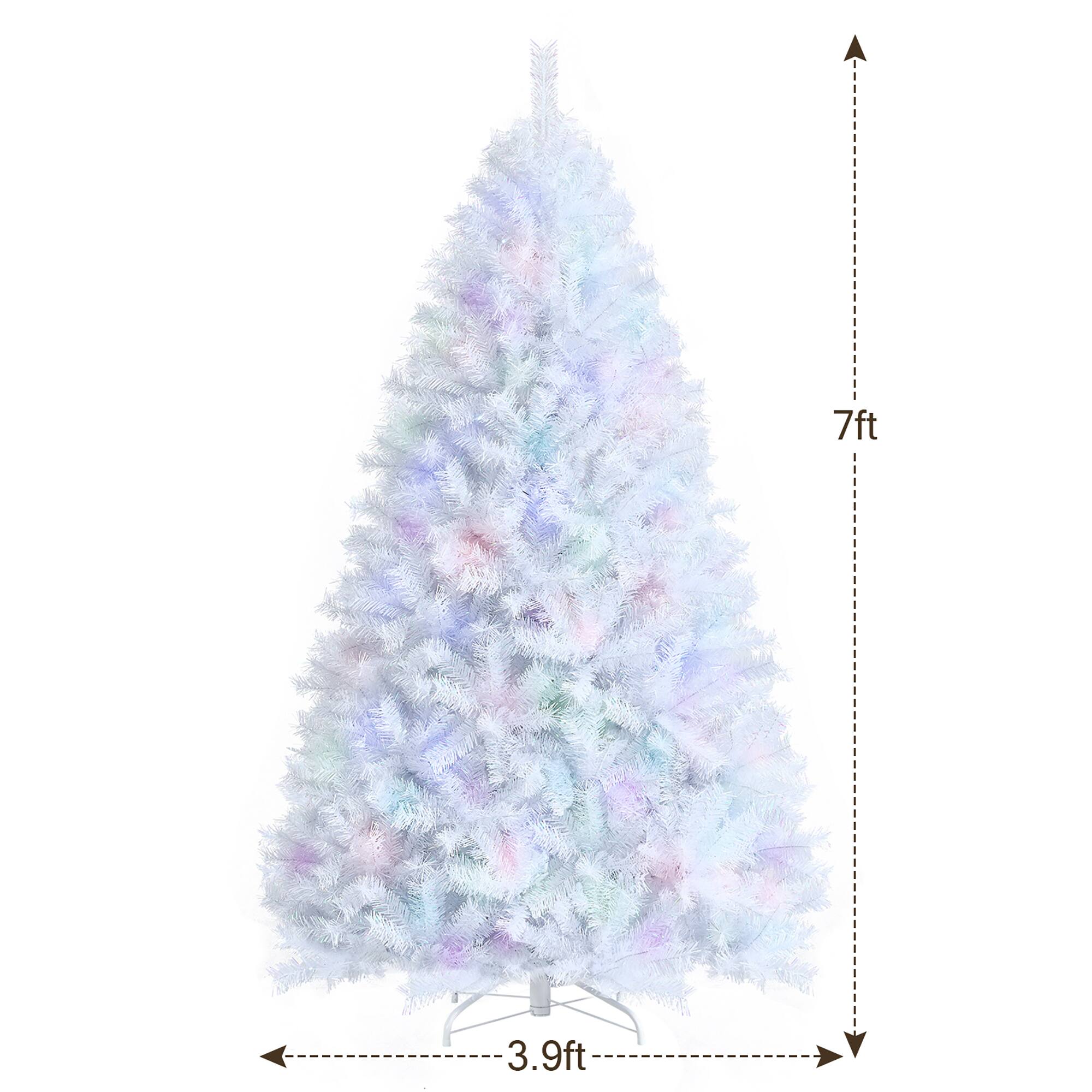 The text on the image reads "7ft 3.9ft" which indicates that the tree is 7 feet tall and 3.9 feet wide.