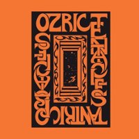 Tantric Obstacles [LP] - VINYL - Front_Zoom
