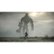 Alt View Zoom 14. Shadow of The Colossus - PlayStation 4.