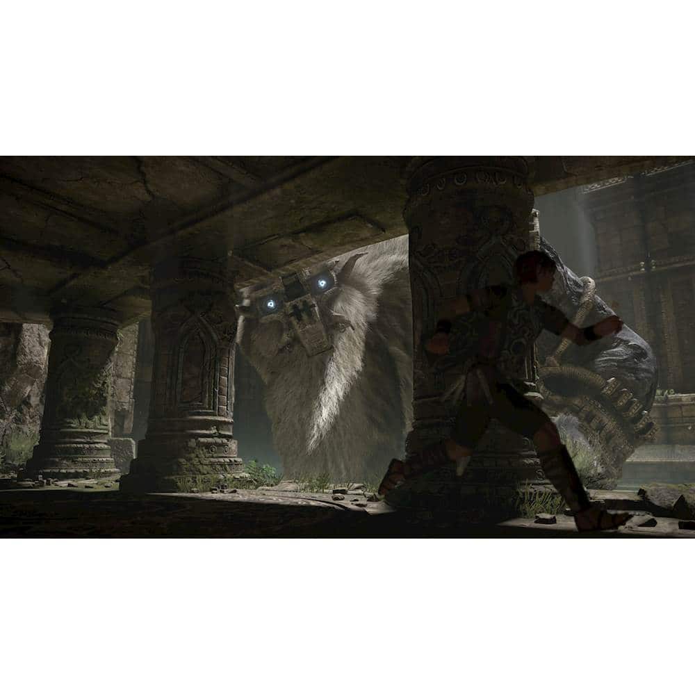 Alt View 17. Sony - Shadow of The Colossus.