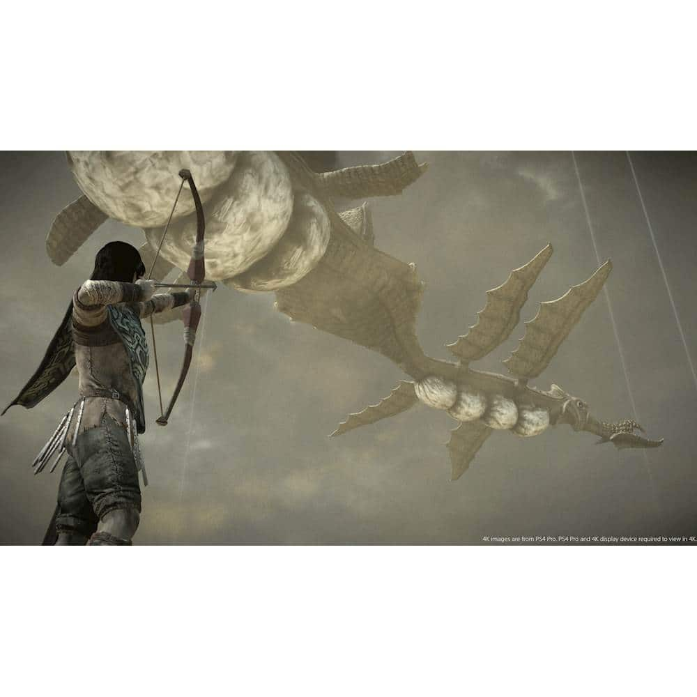 Shadow of the Colossus Transmog Set for PS3 and PS4 : r/Diablo