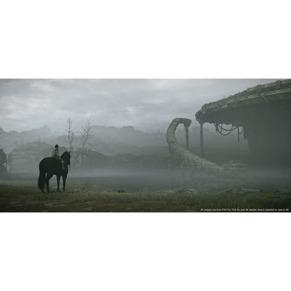 Alt View 20. Sony - Shadow of The Colossus.