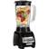 Alt View 11. Hamilton Beach - 10-Speed Countertop Blender - Black.