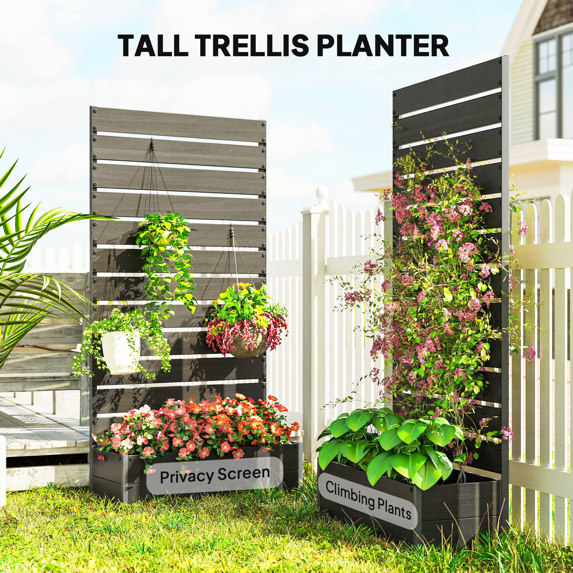 TALL TRELLIS PLANTER  
Privacy Screen  
Climbing Plants