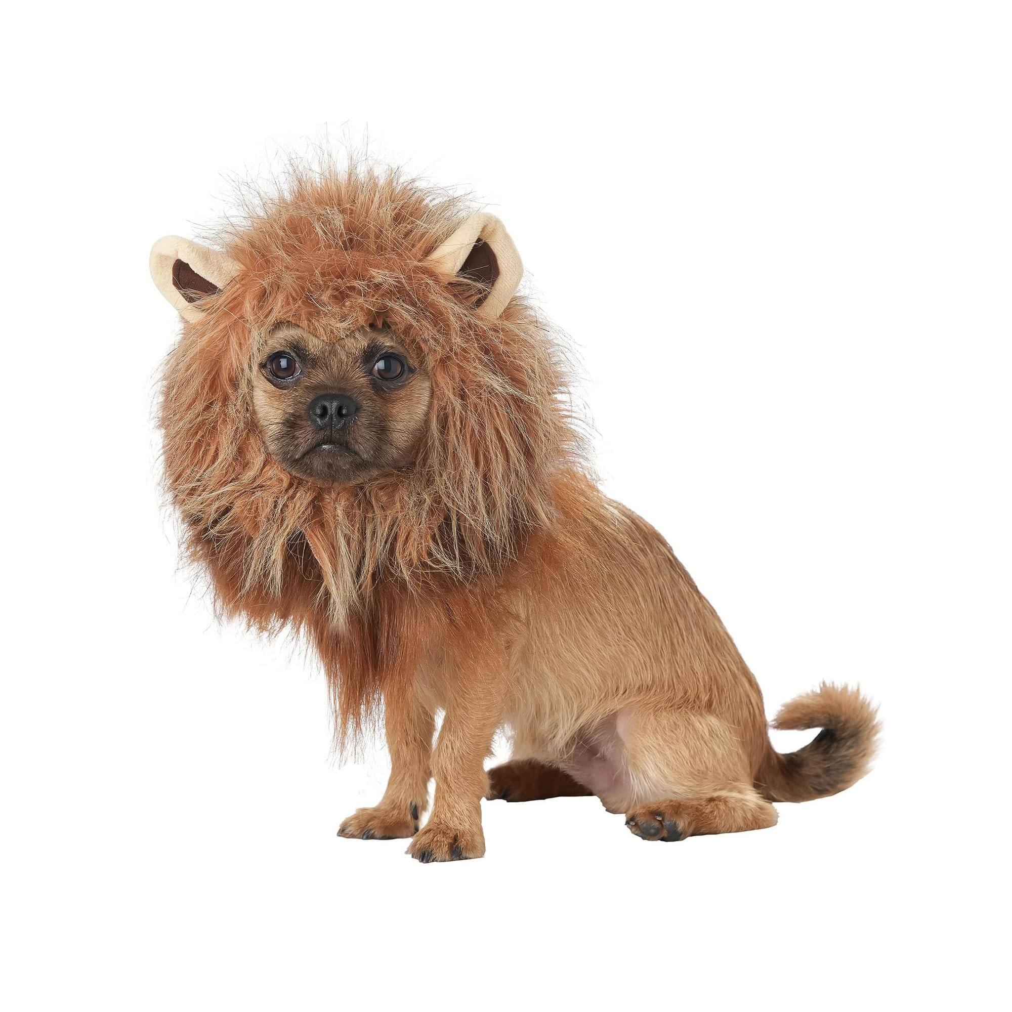 Alt View 1. California Costumes - King of the Jungle Lion Mane Dog Costume, X-Small - Brown.