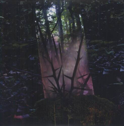 Front. Jensen Sportag - Stealth of Days   - VINYL LP .