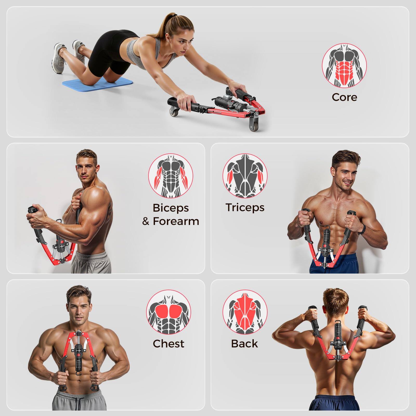 Core  
Biceps & Forearm  
Triceps  
Chest  
Back