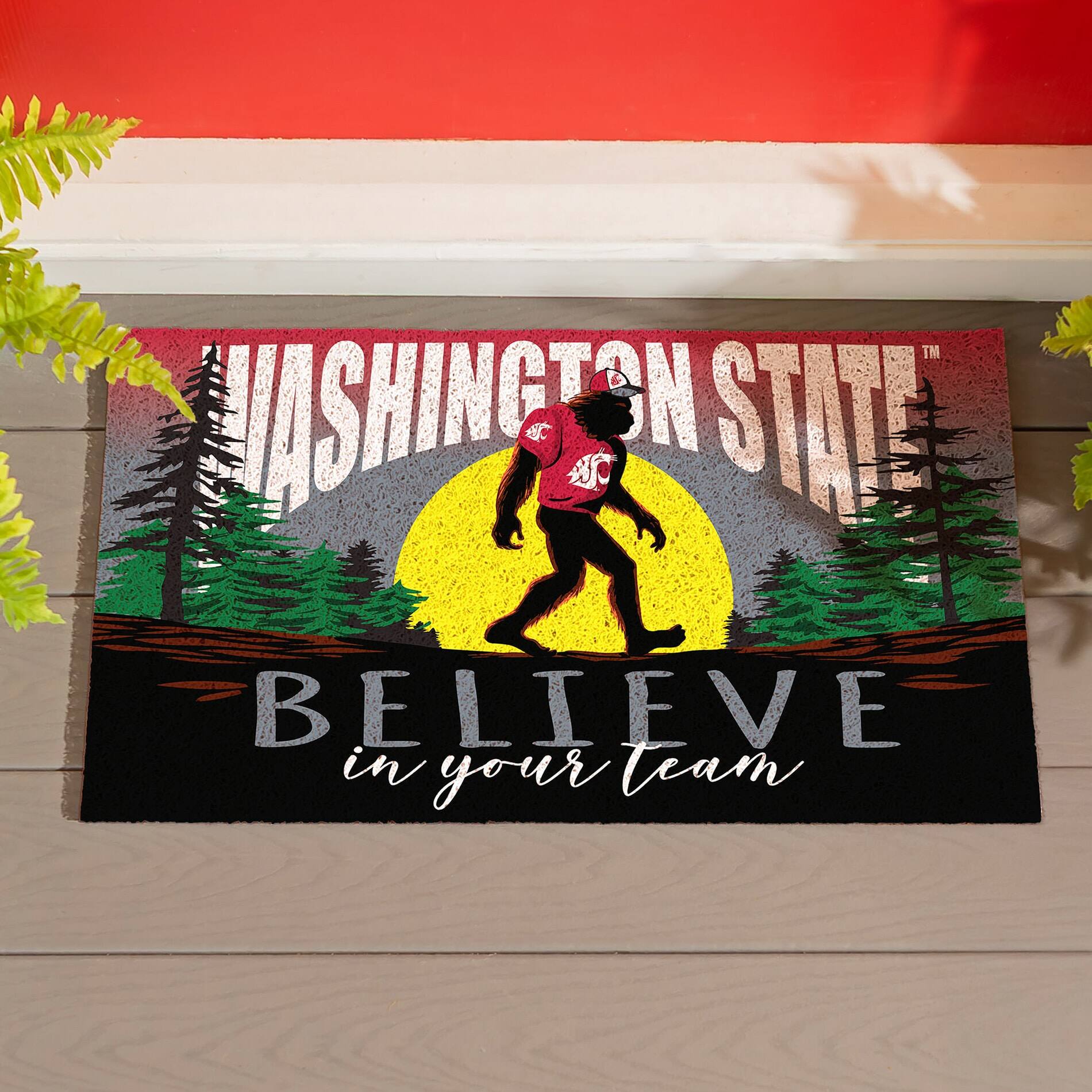 WASHINGTON STATE  
BELIEVE in your team