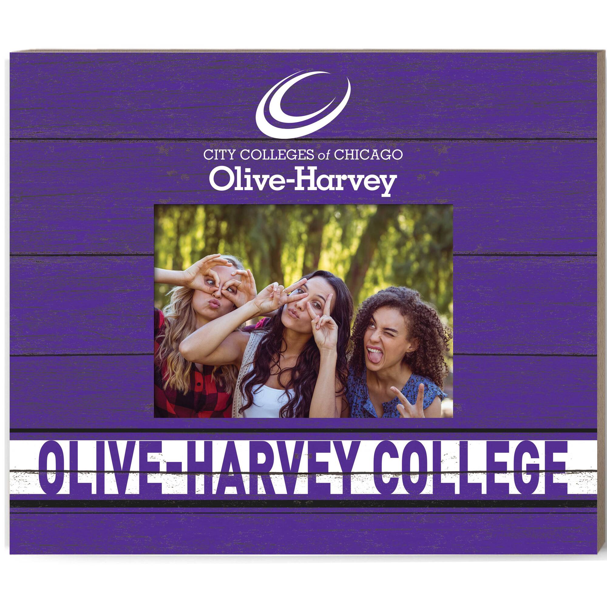 CITY COLLEGES of CHICAGO Olive-Harvey OLIVE HARVEY COLLEGE