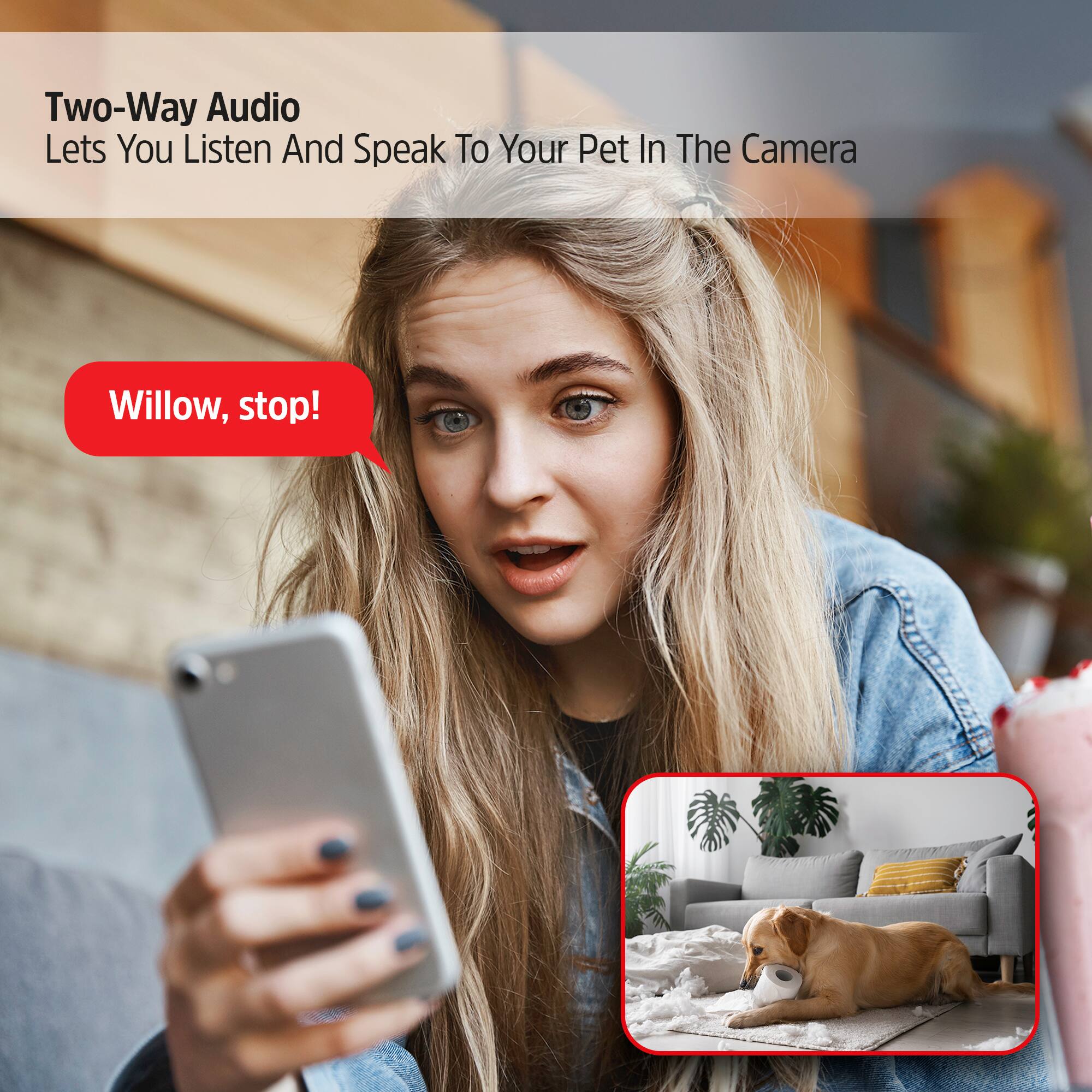Two-Way Audio  
Lets You Listen And Speak To Your Pet In The Camera

Willow, stop!
