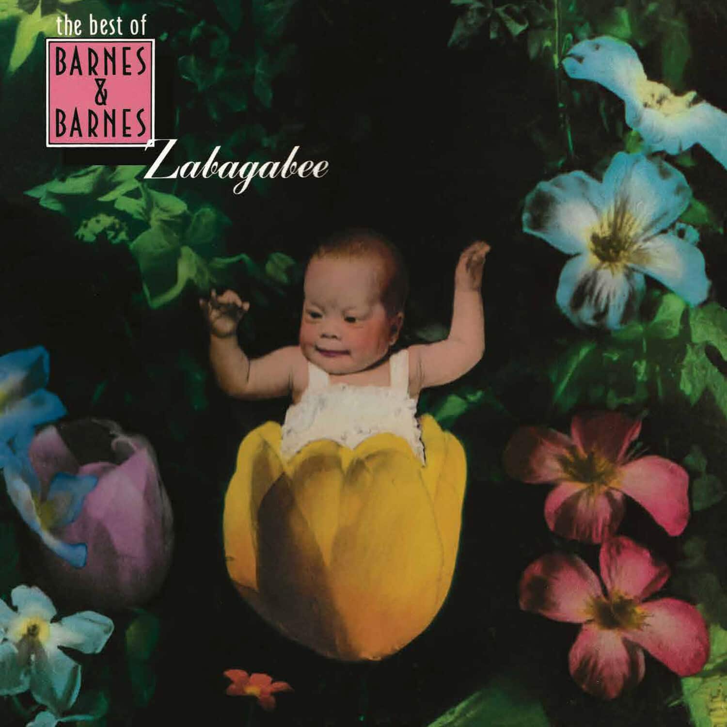 Barnes & Barnes - Zabagabee: The Best Of Barnes & Barnes   - COMPACT DISCS [CD] price history on PriceWatchPro