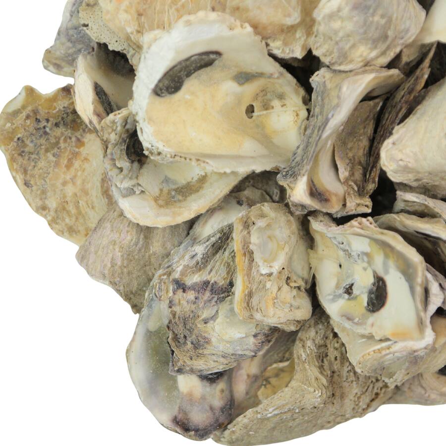 Sphical Shell Things2Die4 Handcrafted Hanging Coastal 9 Inch Oyster Shell Sphere Home ...