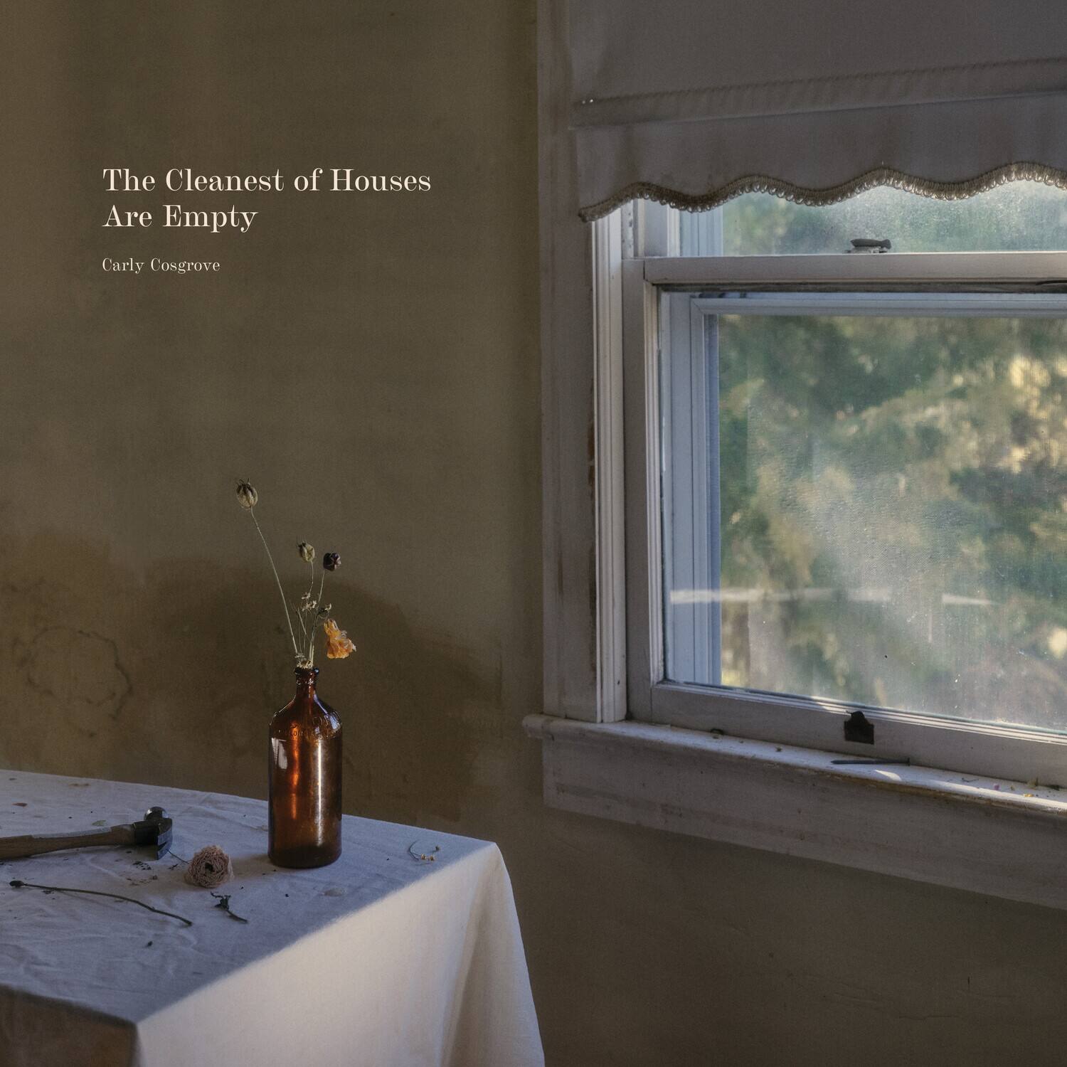 Carly Cosgrove - The Cleanest of Houses Are Empty  - VINYL LP