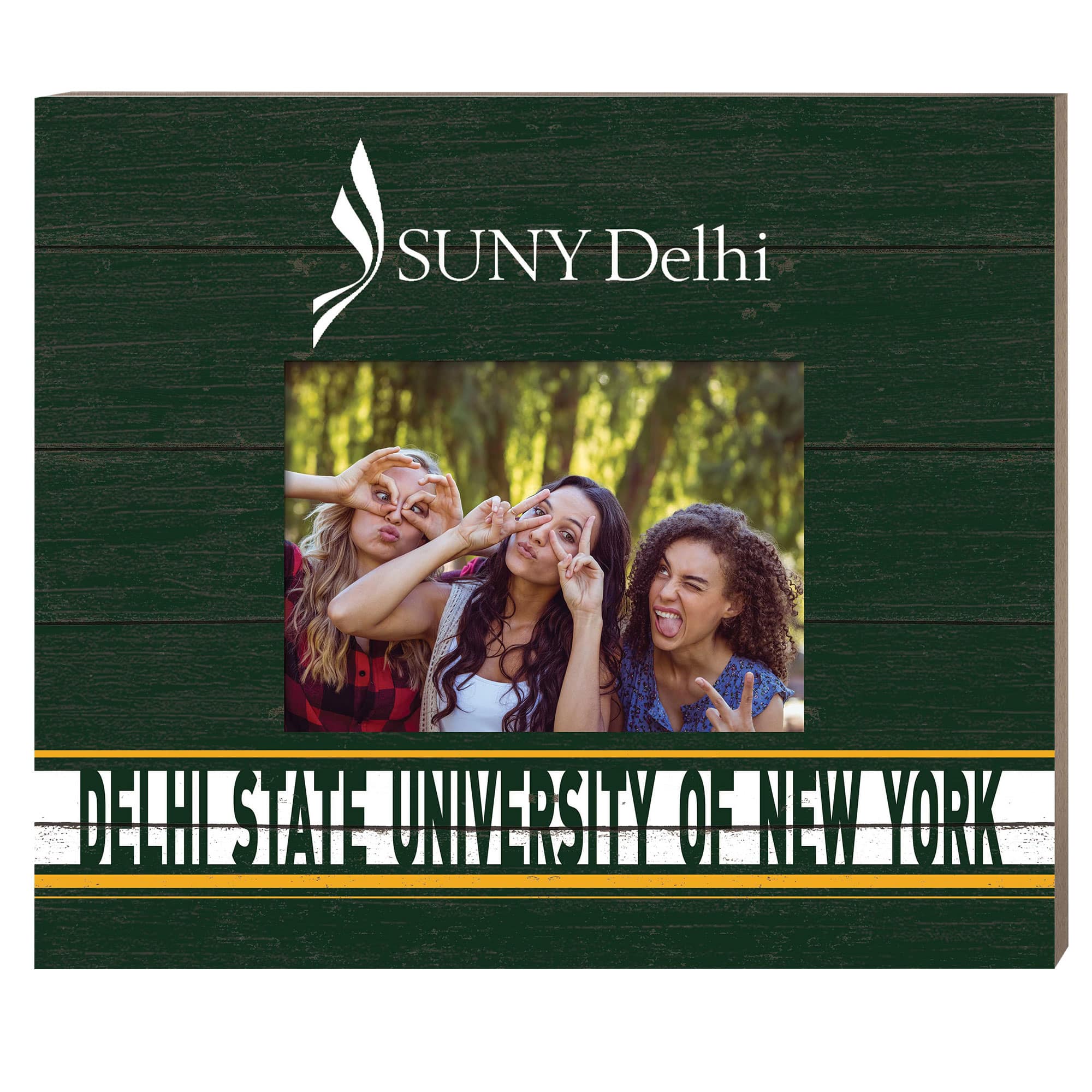 "Jardine - SUNY Delhi Broncos 11"" x 13"" Team Spirit Scholastic Picture Frame - Green" price history on PriceWatchPro