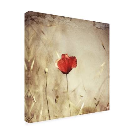 Front. Trademark Fine Art - Ala Pneuma Alone Canvas Art - 14 x 14 Inches - 14x14 - Multicolor.