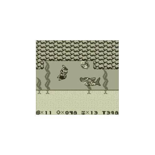 Best Buy: Super Mario Land 2: 6 Golden Coins Standard Edition