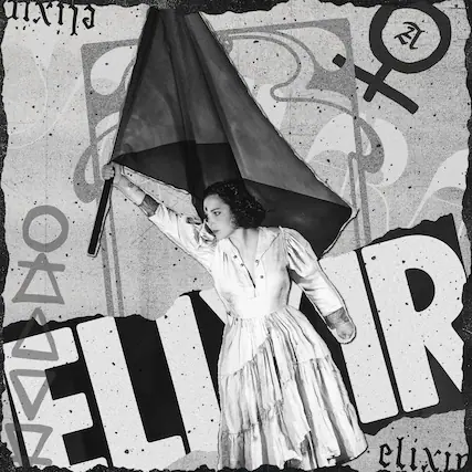 The text in the image can be grouped and corrected as follows:
- "elixir"
- "elixir"
- "R"
- "O"
- "A"
- "ZL" (inside a symbol resembling a female gender sign with a hammer and sickle)
The image also includes a flag and various symbols, but the text provided is as above.