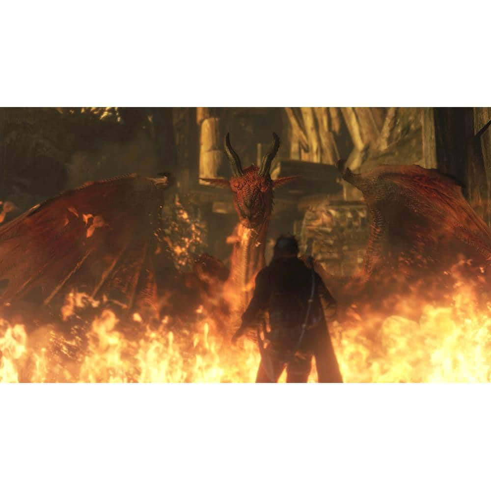 Dragon S Dogma Dark Arisen Playstation 4 Best Buy