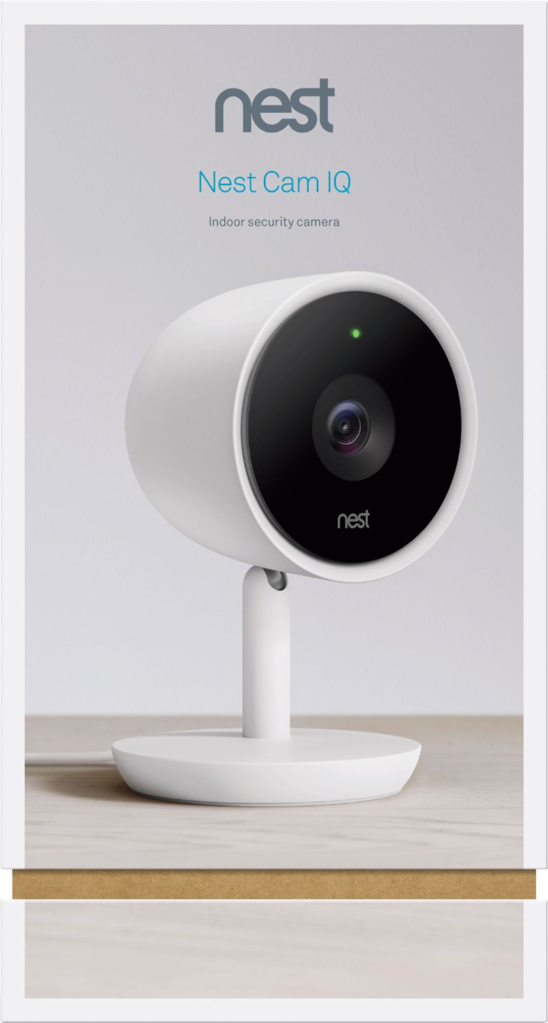nest home surveillance