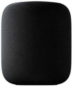 Apple - HomePod - Space Gray - Larger Front