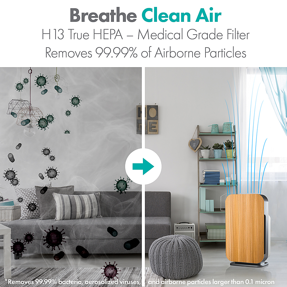 Alen BreatheSmart FLEX HEPA Filter