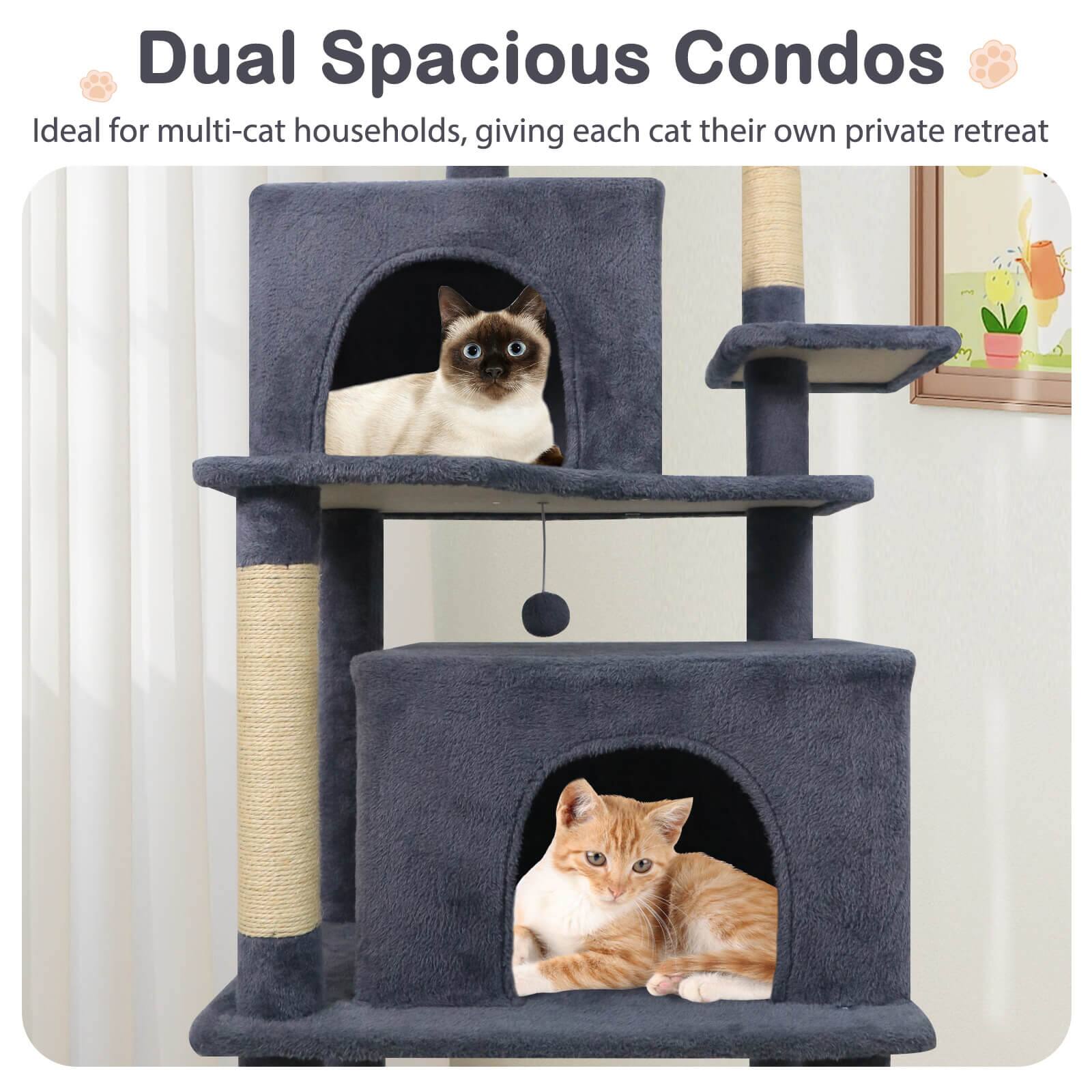 Dual Spacious Condos  
Ideal for multi-cat households, giving each cat their own private retreat