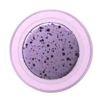 PopSockets - MagSafe PopGrip Universal Magnetic Grip & Stand with Adapter Ring for Cell Phones - Sugar Plum Speckle Aluminum - Front_Zoom