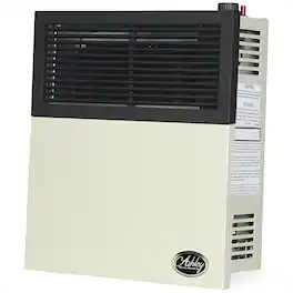 Ashley Hearth Products - 11,000 BTU Direct Vent Liquid Propane Wall Mount Heater - Cream