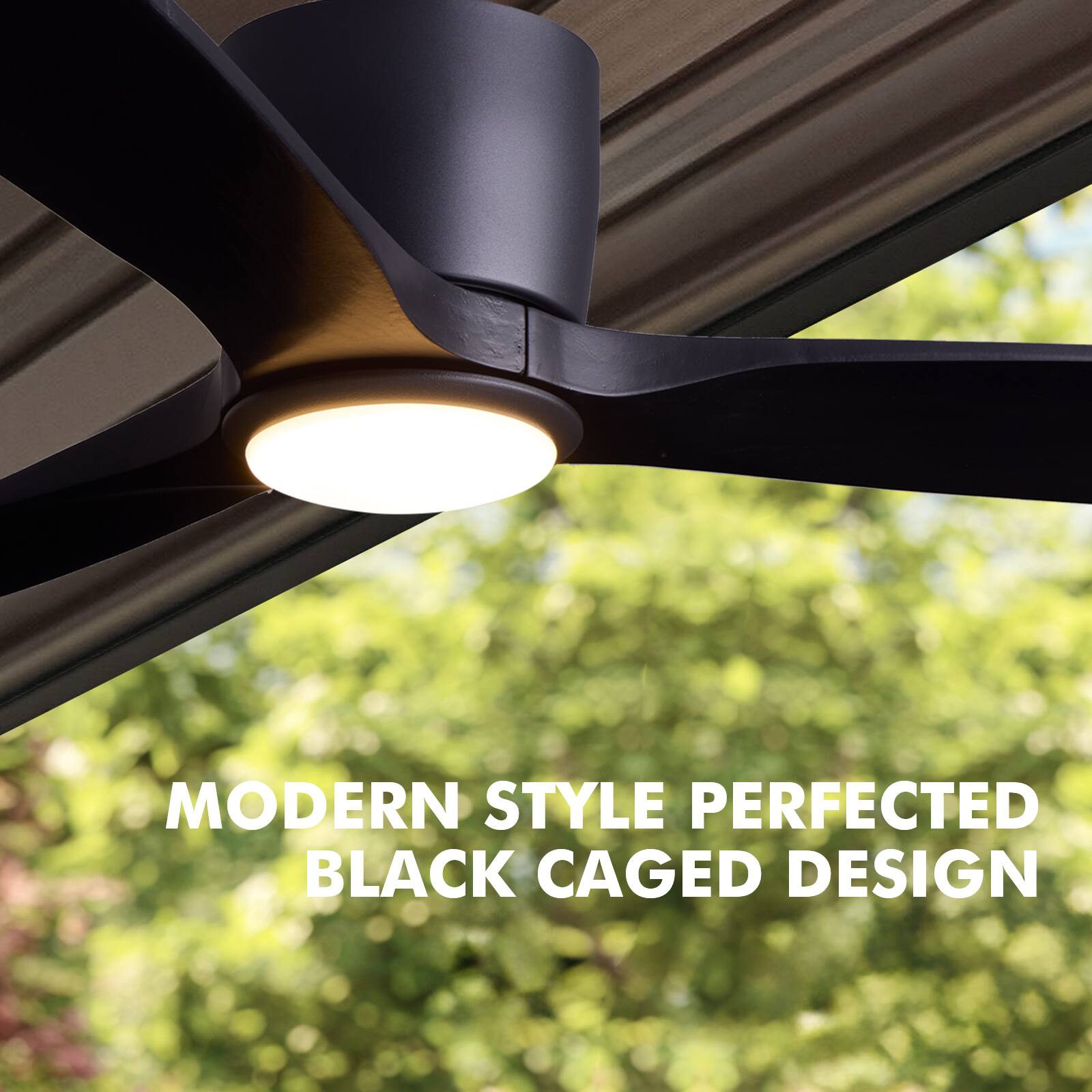 MODERN STYLE PERFECTED  
BLACK CAGED DESIGN