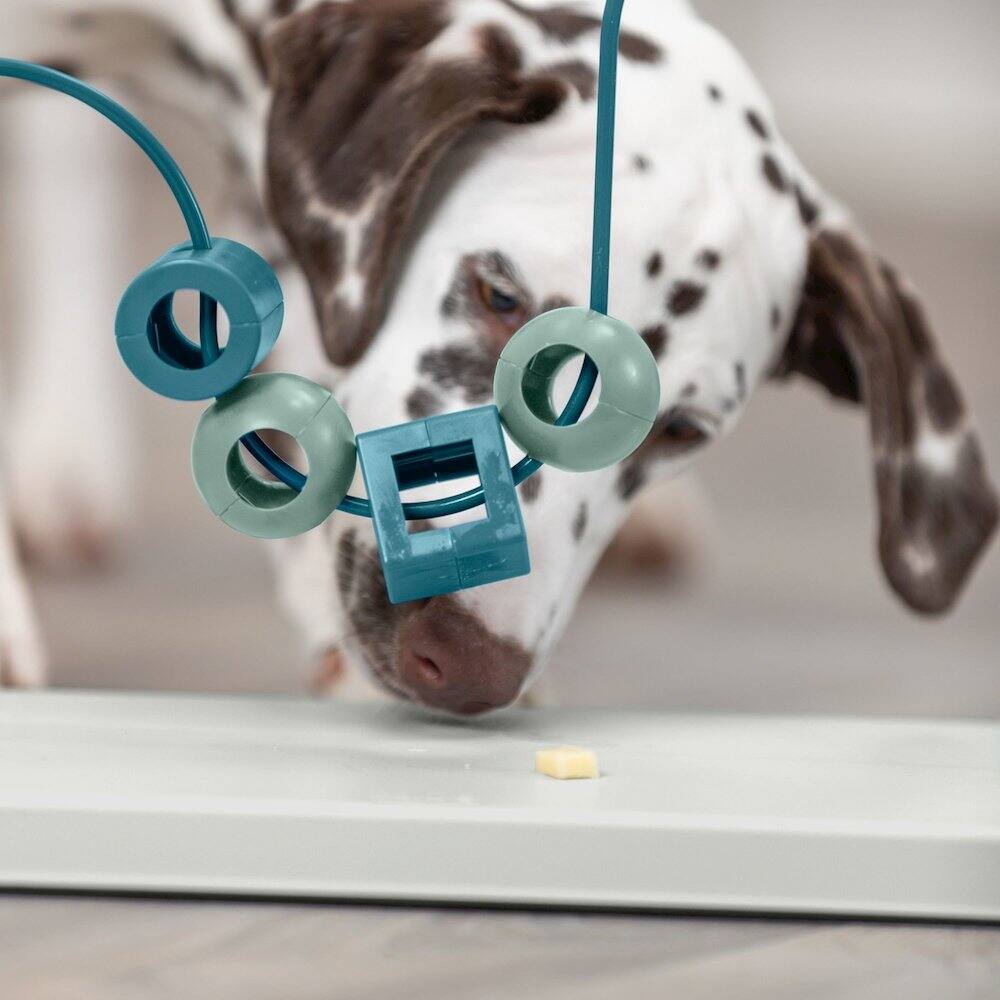 Angle. TRIXIE - Dog Activity Skills Loop Strategy Game, Level 4 Advanced Food Puzzle - Blue/Gray.