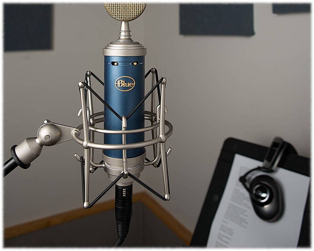 Blue Microphones - Bluebird SL XLR Wired Cardioid Condenser Microphone