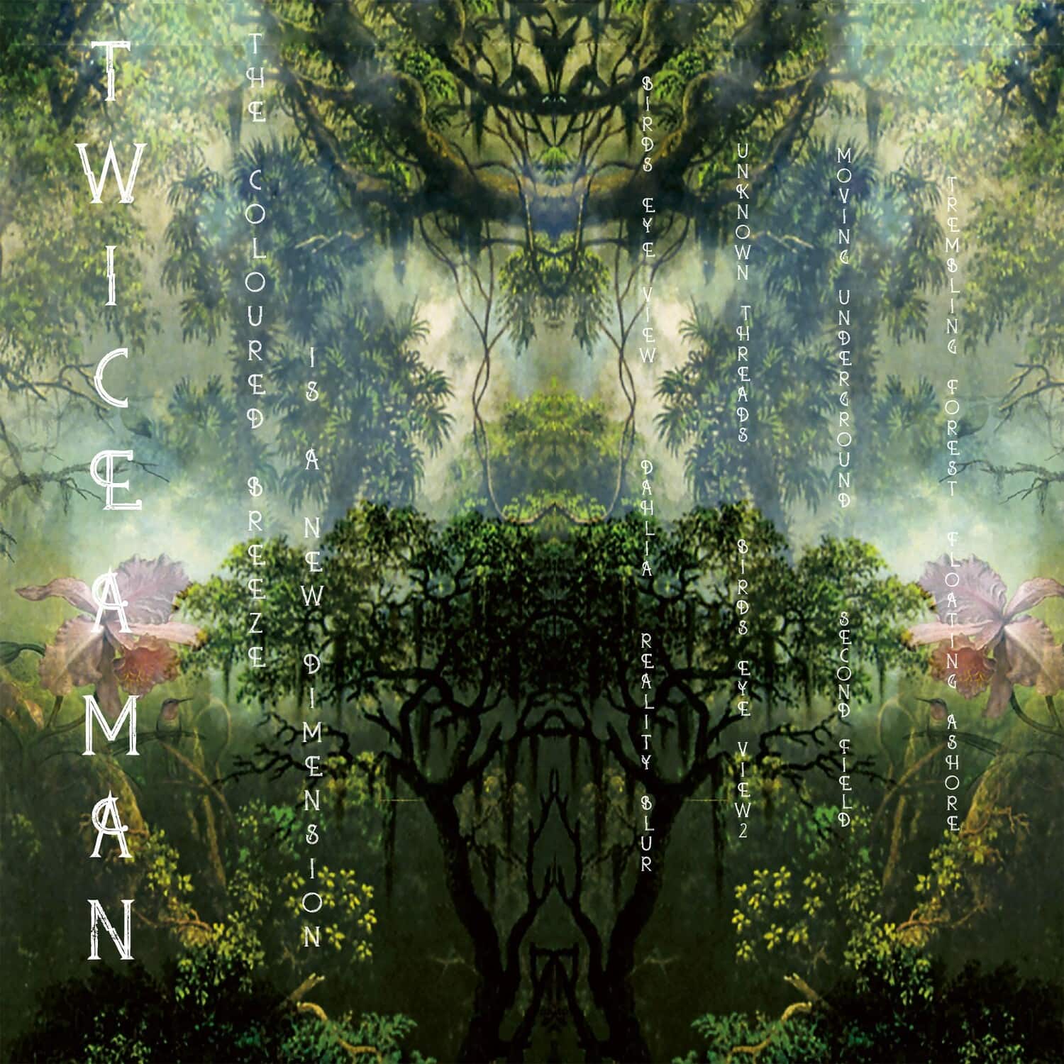 Twice a Man - The Coloured Breeze Is a New Dimension   - COMPACT DISCS [CD] price history on PriceWatchPro