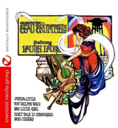 REMASTERED DIGITALLY
the power of the BEAU BRUITTEE
featuring LAUGH LAUGH
group media
JUST A LITTLE
YOU TELL ME WHY
AND LITTLE GIRL
DONT TALK TO STRANGERS
AND OTHERS
