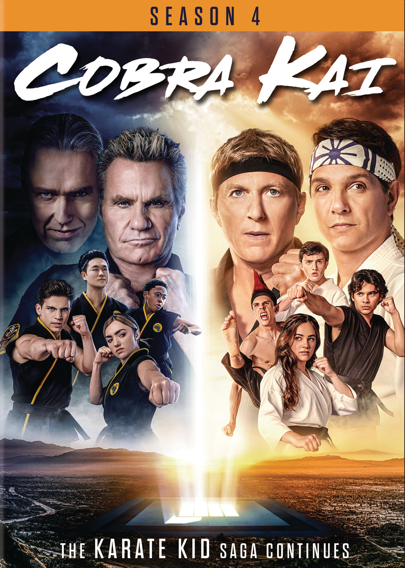 Cobra Kai - Season 4 (dvd)