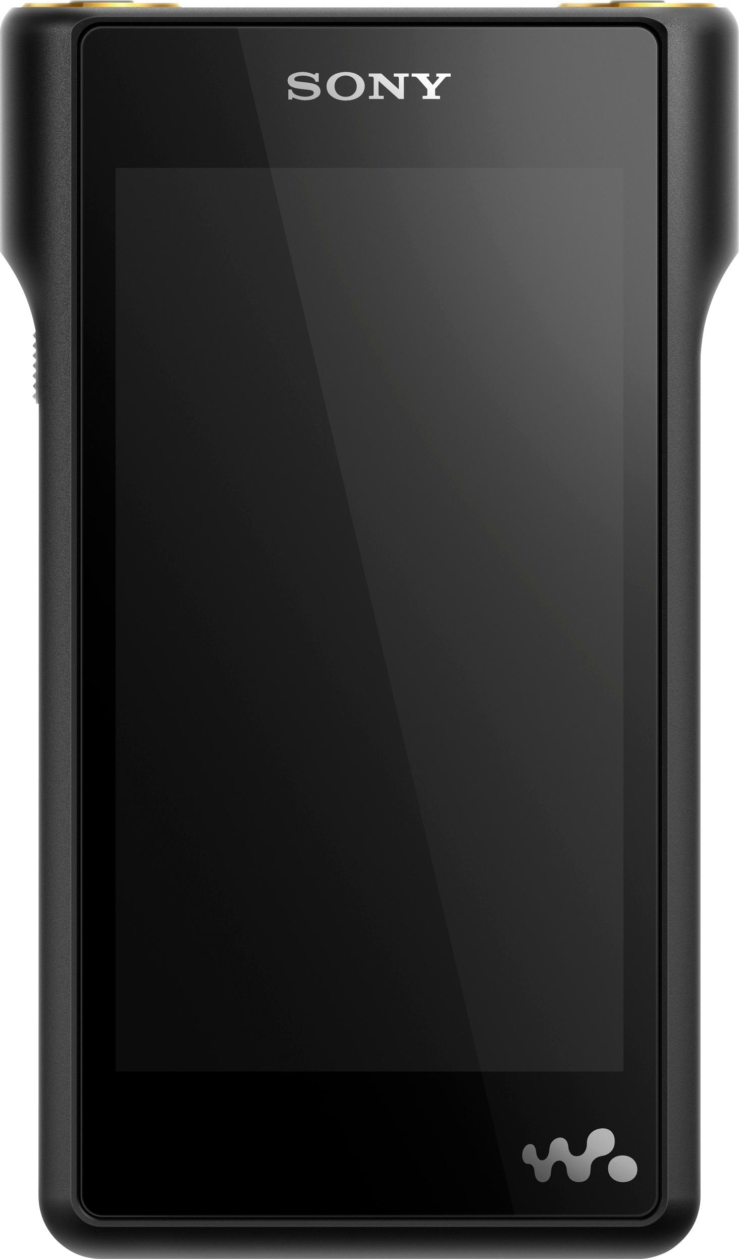 Sony High-Resolution Walkman NW-WM1A Hi-Res 128GB* MP3 Player 