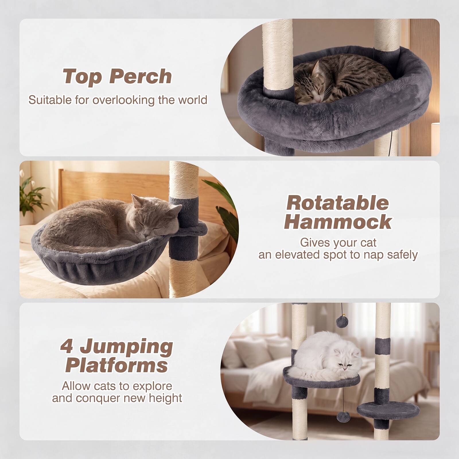 Top Perch  
Suitable for overlooking the world  

Rotatable Hammock  
Gives your cat an elevated spot to nap safely  

4 Jumping Platforms  
Allow cats to explore and conquer new heights