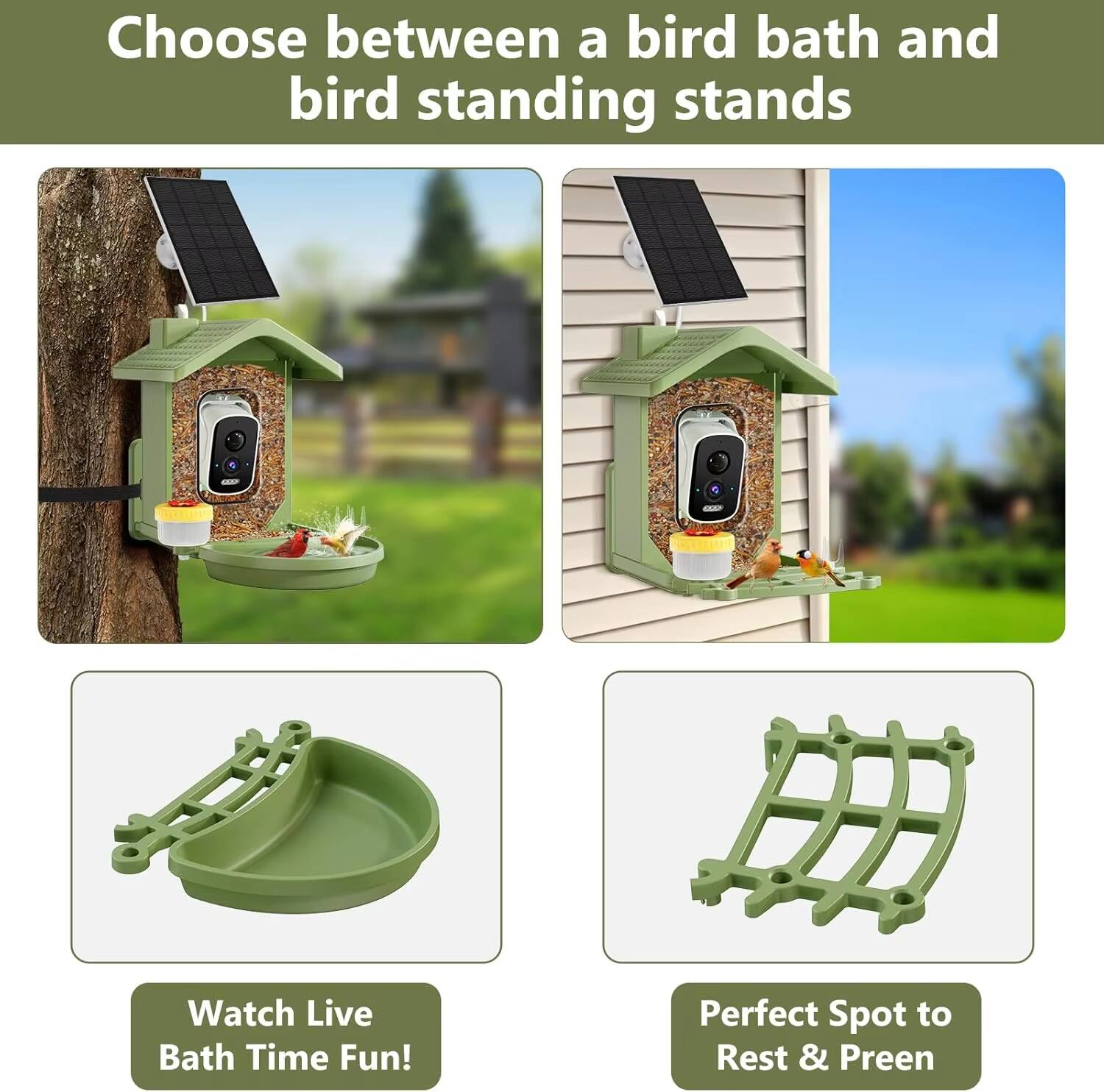 Choose between a bird bath and bird standing stands

Watch Live Bath Time Fun!

Perfect Spot to Rest & Preen