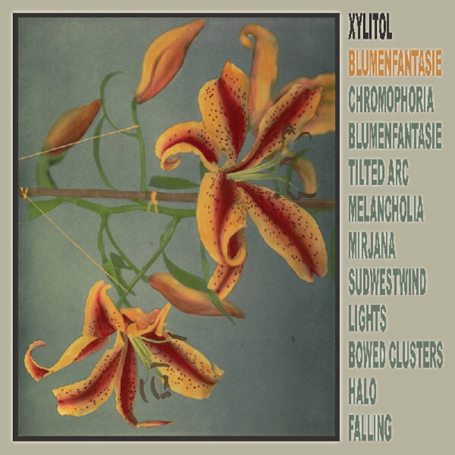 Xylitol - Blumenfantasie   - VINYL LP price history on PriceWatchPro