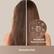 300,000,000 Negative Ions/cm³
Smooths Hair