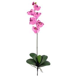 BreeBe - Phalaenopsis Stem (Set of 12) - Mauve