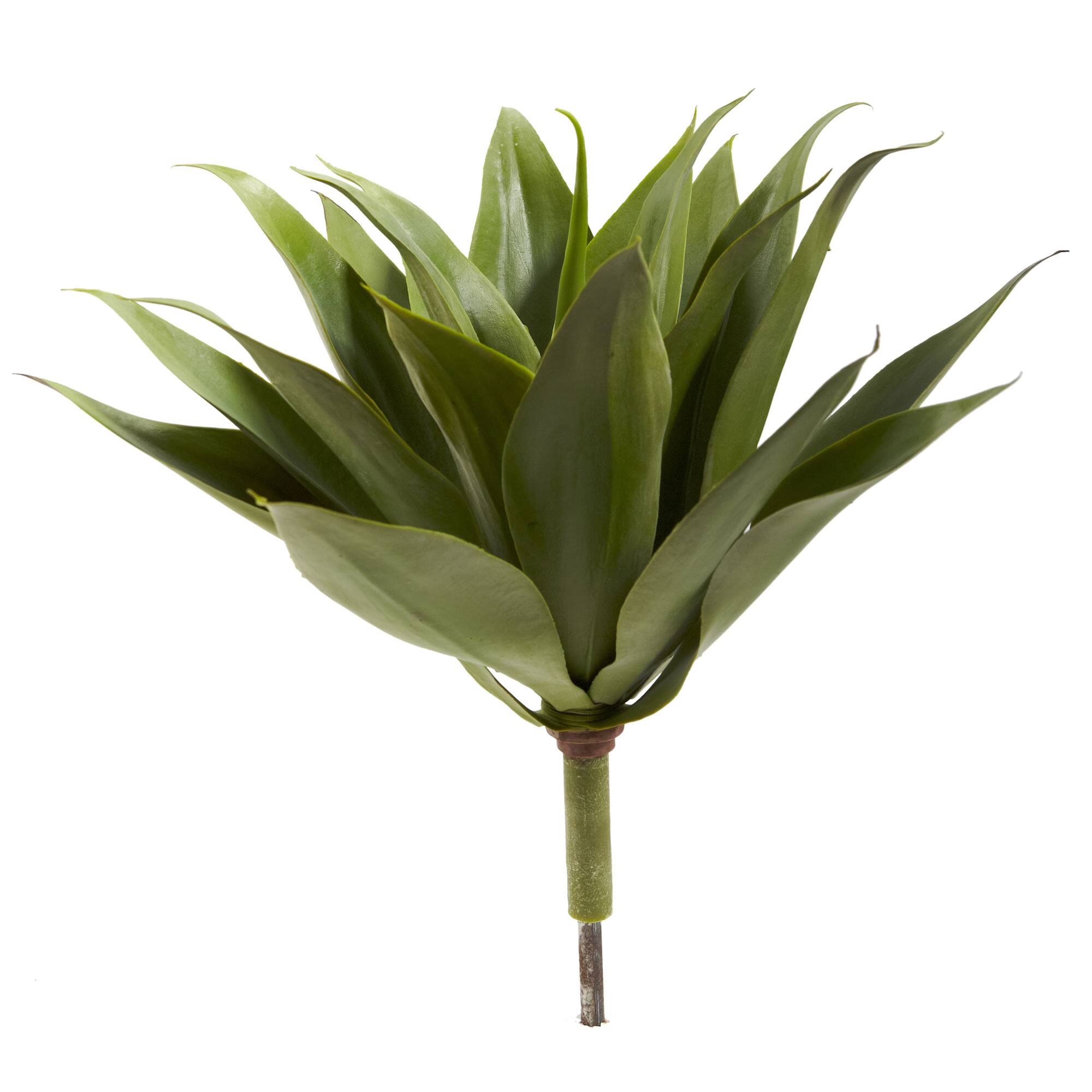 Angle. BreeBe - 17" Agave Succulent Plant (Set of 2) - Green.
