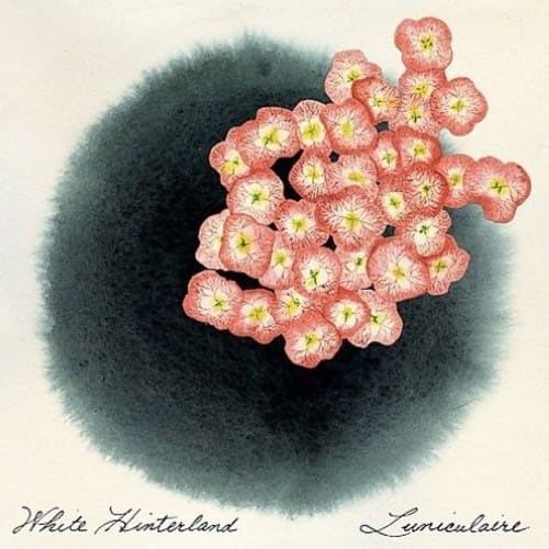 White Hinterland - Luniculaire   - COMPACT DISCS [CD] price history on PriceWatchPro
